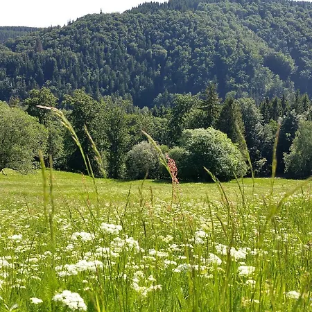 Comfortable Chalet Near Forest In * Gehlberg